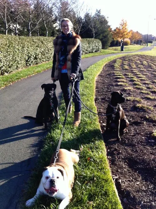 My sister walking Buzz, Missy and Ada