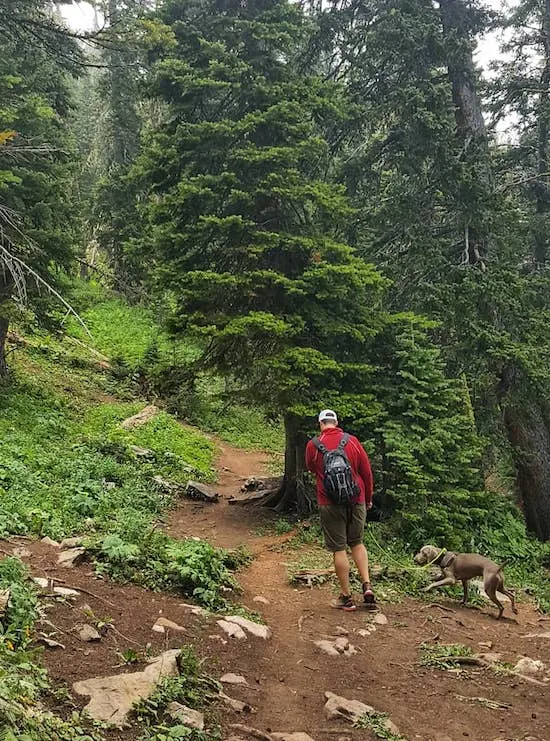My husband Josh hiking with our dog Remy