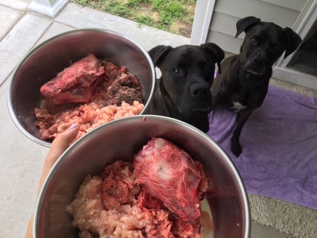 Raw organ meat for raw dog food - rabbit heads