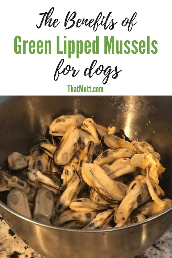 The Benefits of Green Lipped Mussels for dogs