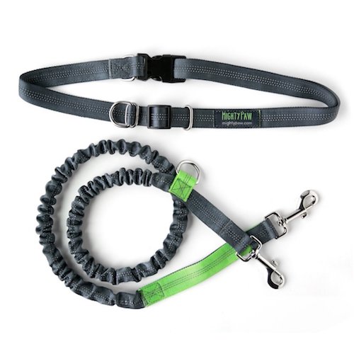 Mighty Paw hands free leash