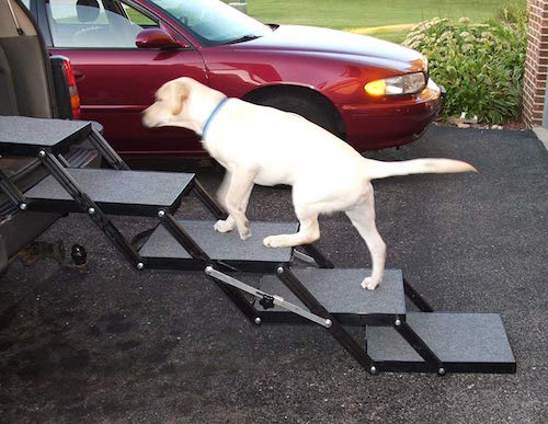 Pet Loader stairs to help your dog get in the car