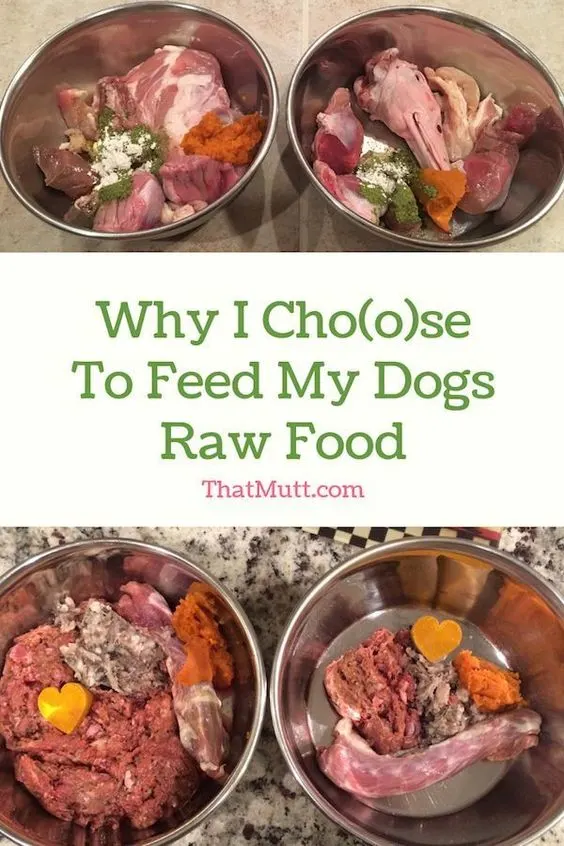 Why I feed my dogs a raw diet