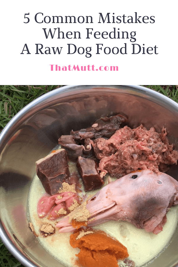 Common mistakes when feeding a dog a raw diet