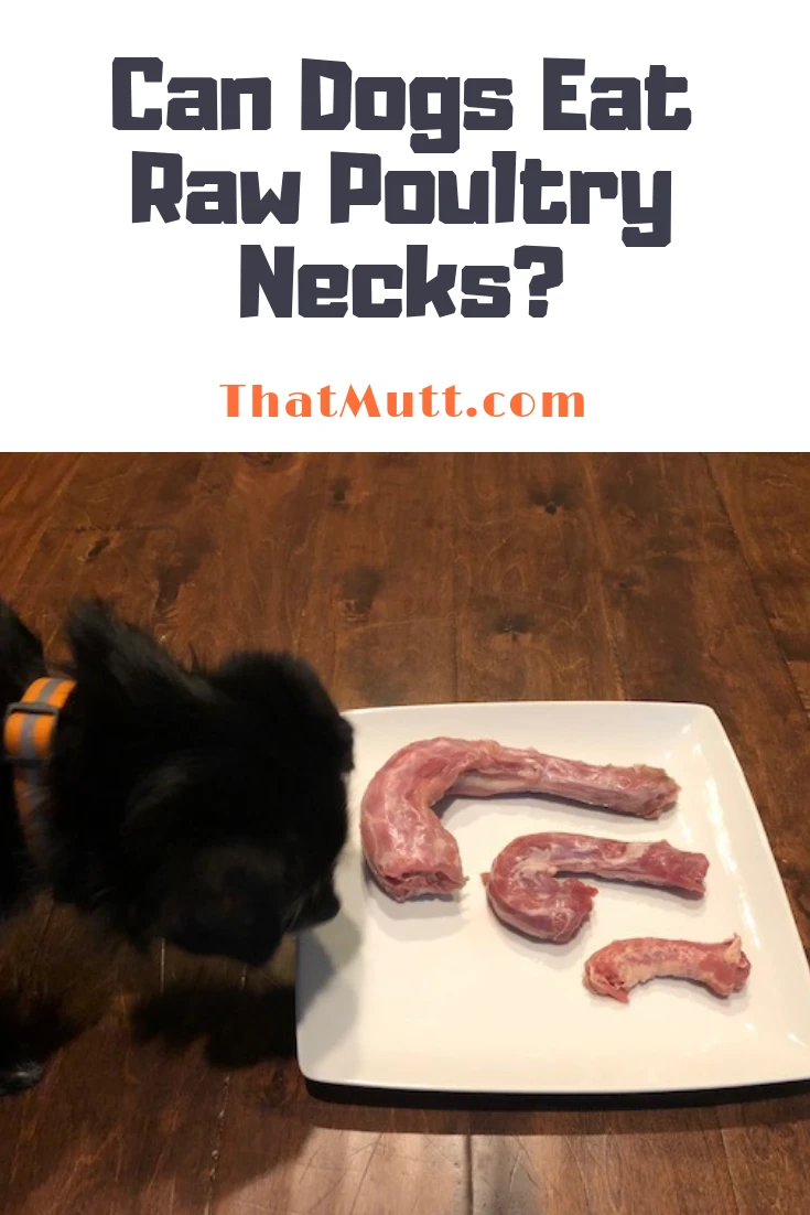 Raw poultry necks for dogs