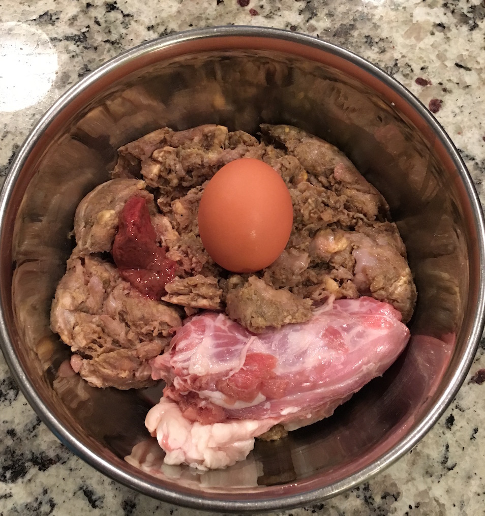 Common mistakes when feeding a dog a raw diet