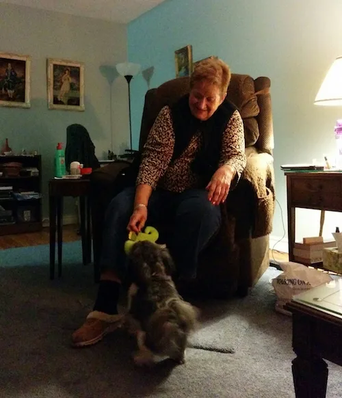 Helping seniors take care of their dogs through ELDERDOG