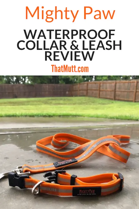 Mighty Paw waterproof collar and leash review