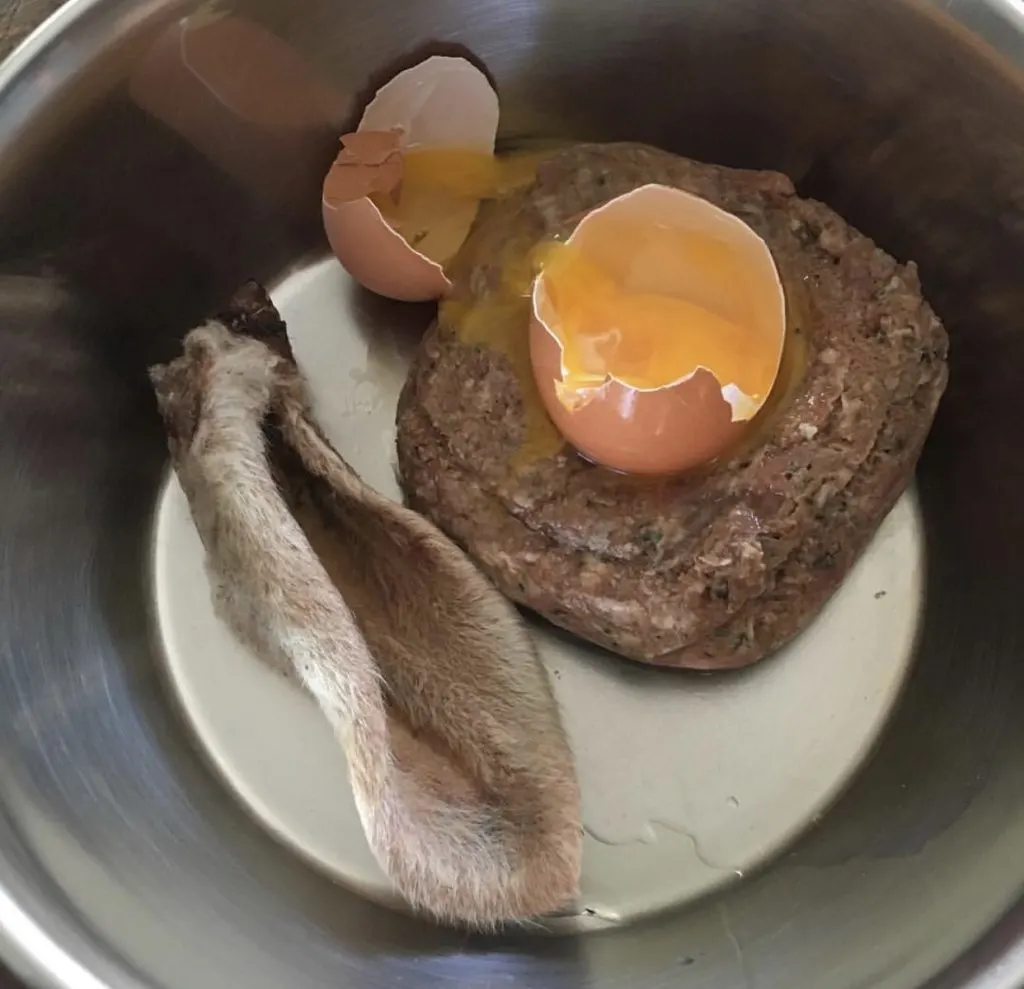 Organic raw egg cracked open along with ground duck and air dried lamb ear