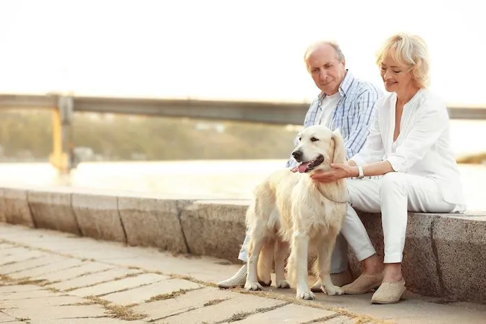 Senior couple with their dog