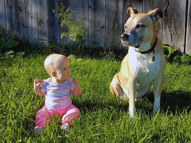 Baby and dog sitting on the grass
