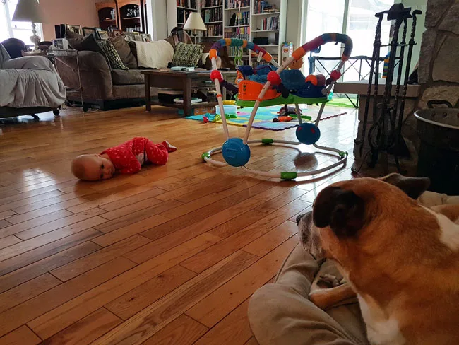 Baby laying on the floor staring a the dog