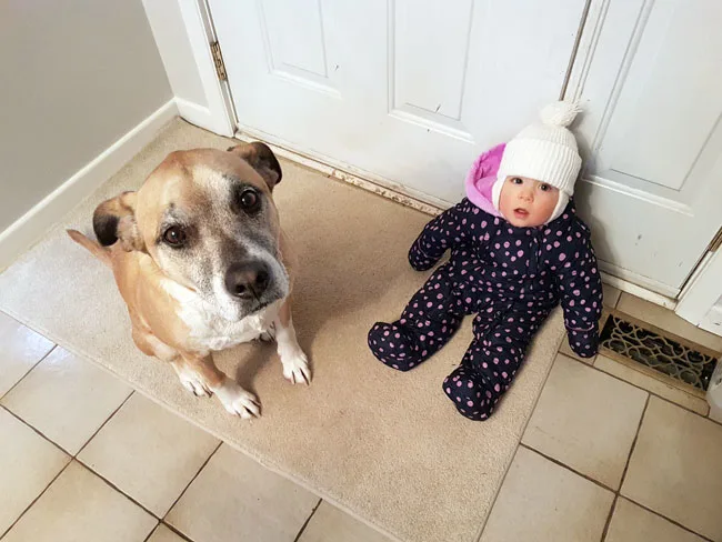 Dog and baby waiting to go for a walk