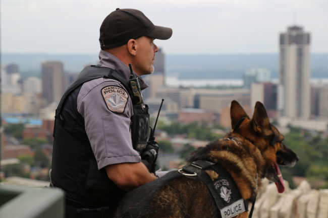 Police officer with a German Shepherd police service dog