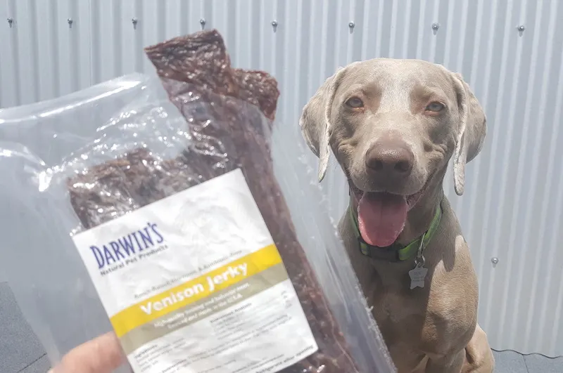 Darwin's venison jerky treats for dogs