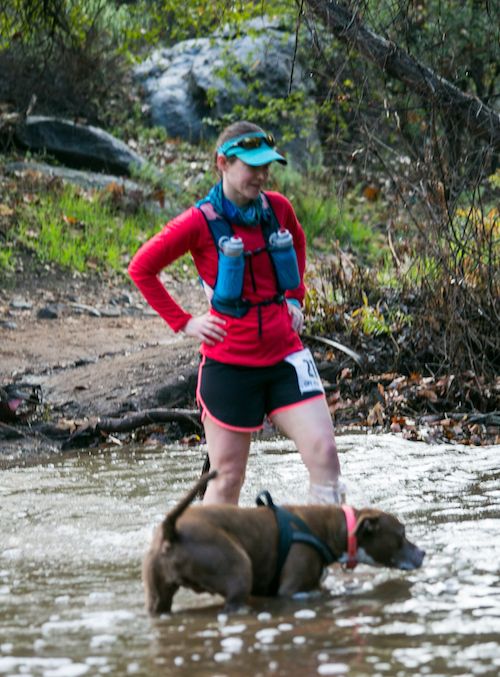 Trail racing with dogs