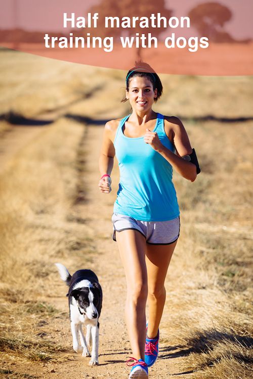 Training for a half marathon with your dog