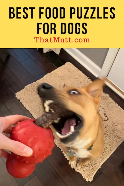 https://www.thatmutt.com/web/wp-content/uploads/2019/11/ThatMutt.com-Best-Food-Puzzles-for-Dogs.png.webp