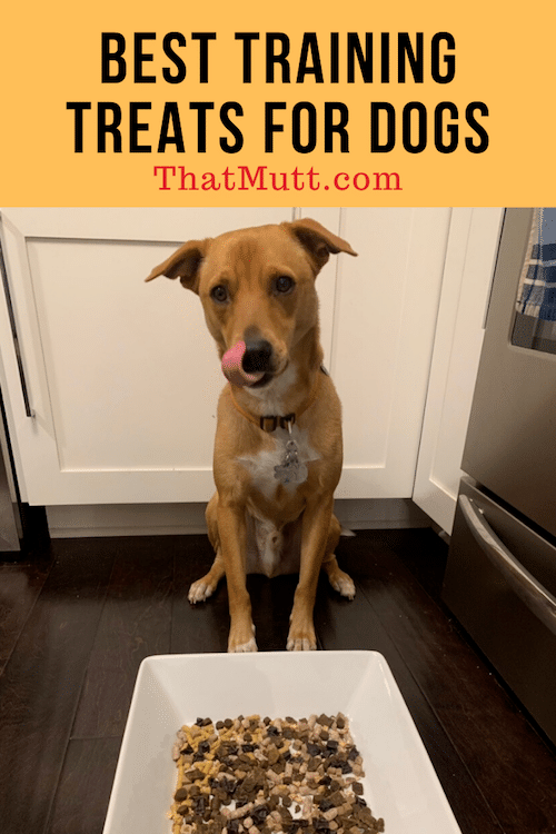Best training treats for dogs