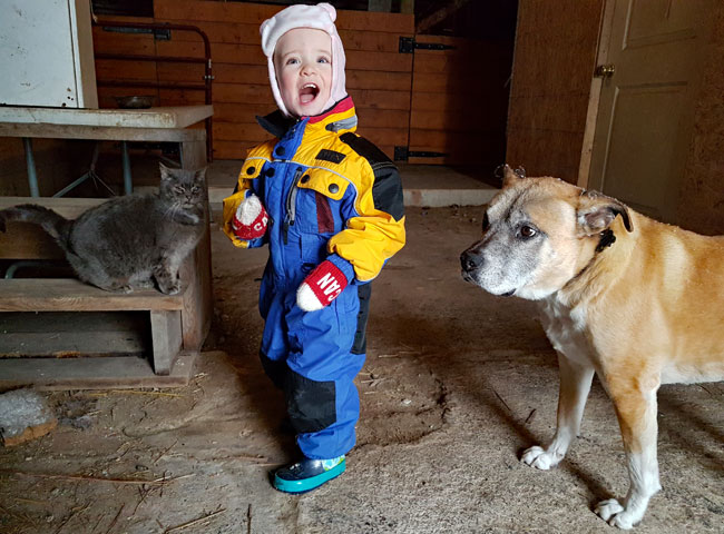 Toddler with a cat and dog