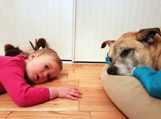 Toddler lying beside a dog
