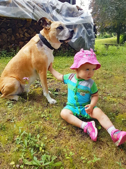 Toddler sitting outside with a dog