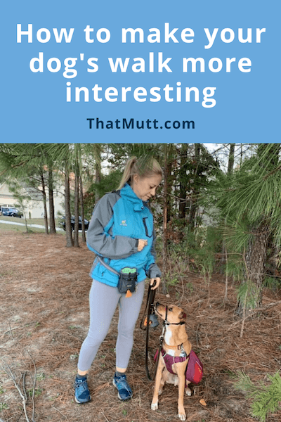 Make your dog's walks more interesting