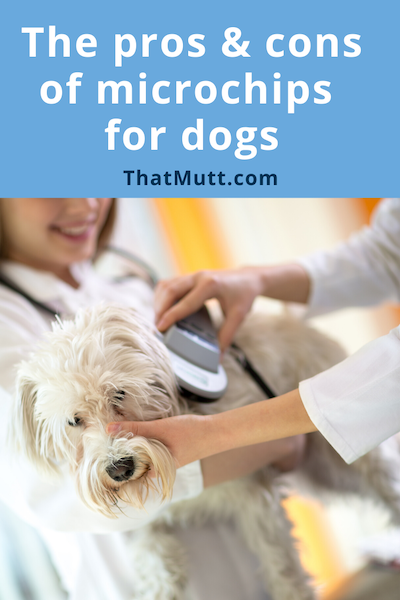 Microchips for dogs