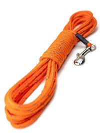 Check cord for dog training