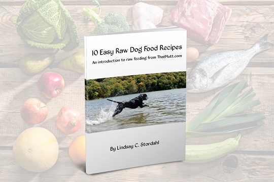 Raw dog food ebook