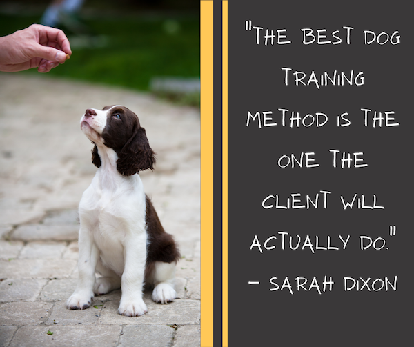 Group dog training classes