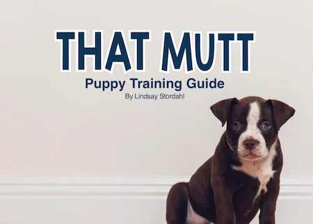 That Mutt's Puppy Training Guide
