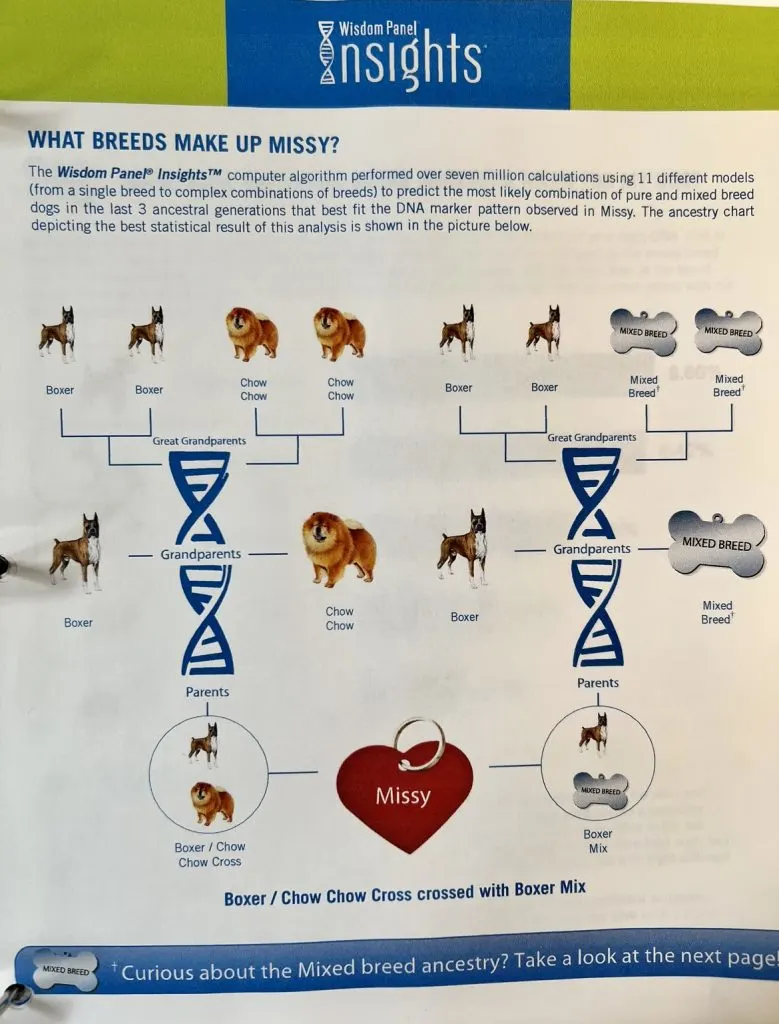 Missy's Wisdom DNA Panel