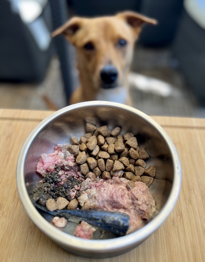 A combined meal of raw and kibble