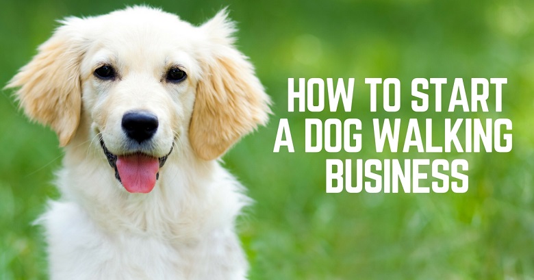 How to start a dog walking business
