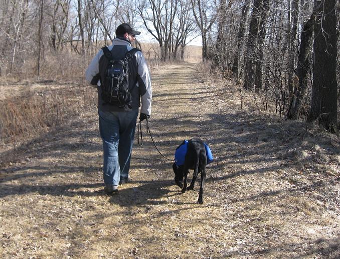 Dog walking