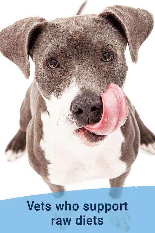 Vets who support raw diets