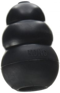 Dog Kong toy