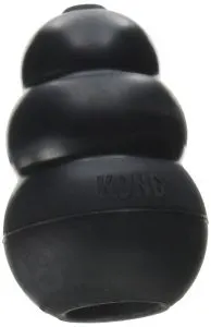 Dog Kong toy