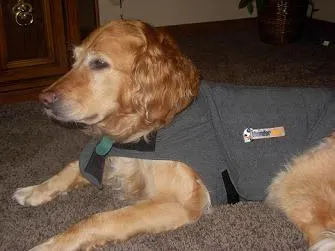 Thundershirt reviews