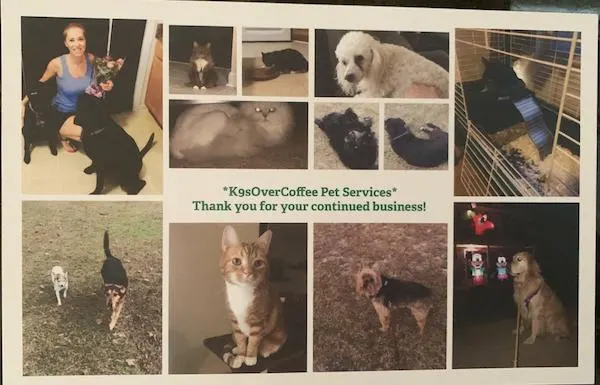 Holiday card from pet sitter