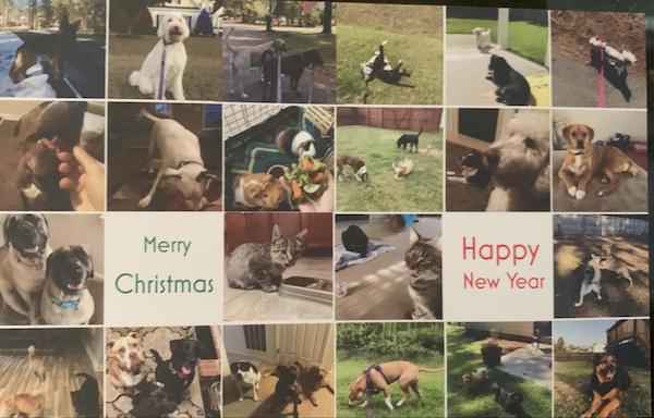 Card from pet sitter