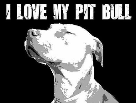 I love my pit bull