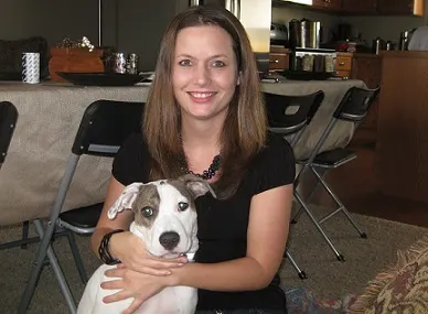 Re-homing a pitbull