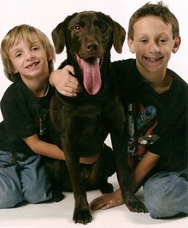 Chocolate Lab with boys