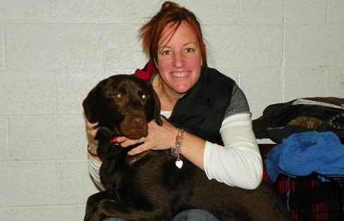 Re-homing a chocolate Lab