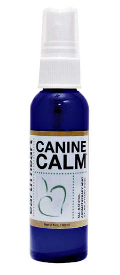 Canine Calm to help dogs with storm anxiety