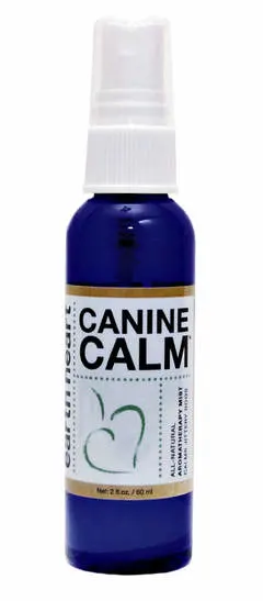 Canine Calm to help dogs with storm anxiety