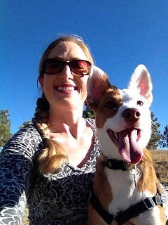 Tips for managing a dog that is aggressive on the leash