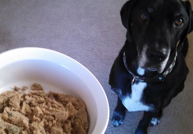 My Perfect Pet dog food